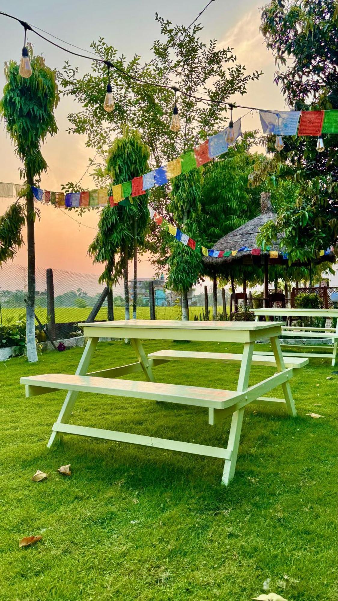 Hotel Tree Tops- A Serene Friendly Hotel In Sauraha Читван Экстерьер фото